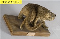 石虎藏品圖，第9張